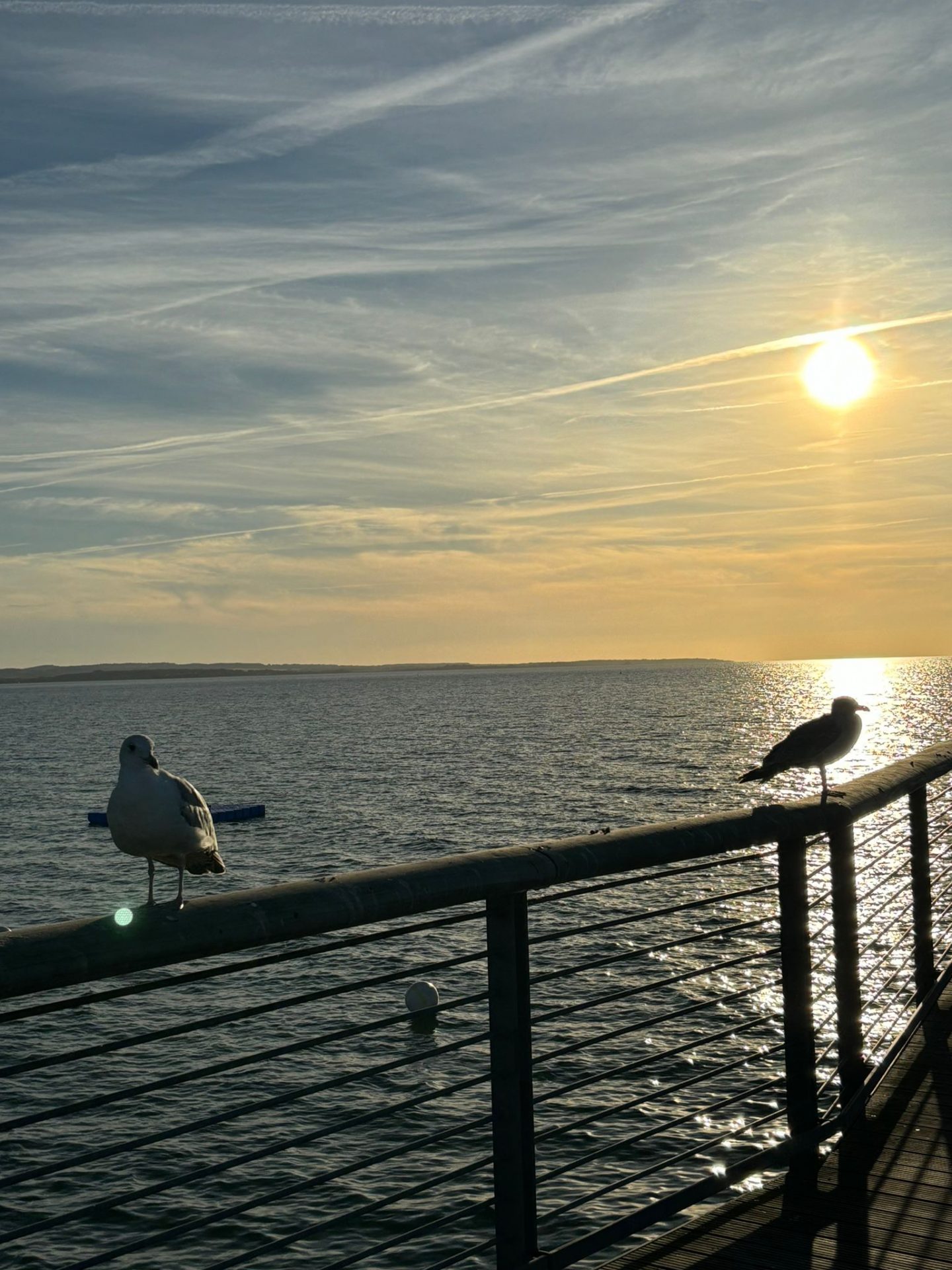 Klassenfahrt der 8/1 an die Ostsee